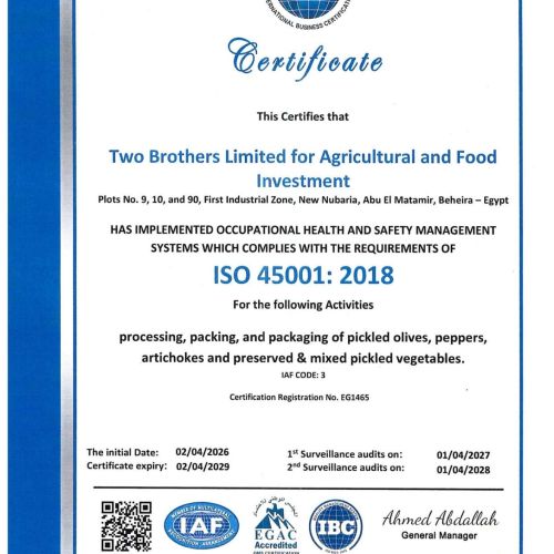 Iso450001