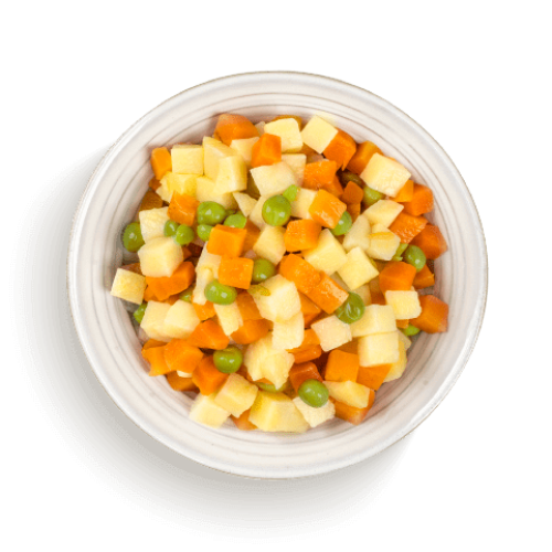Canned Mixed Vegetables Supplier