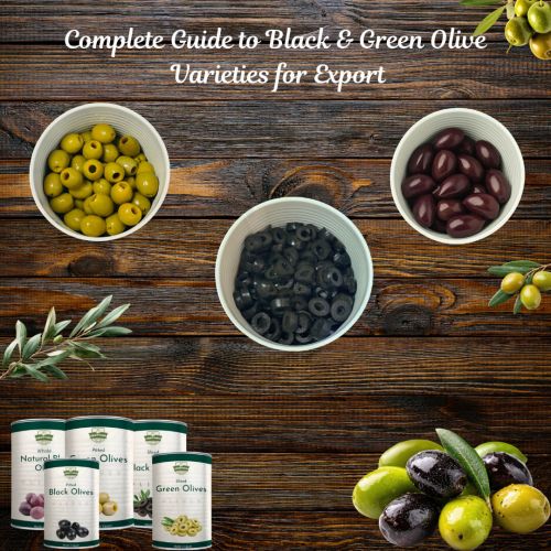 Vollst&auml;ndiger Leitfaden zu Gr&uuml;nen & Schwarzen Olivensorten f&uuml;r den Export