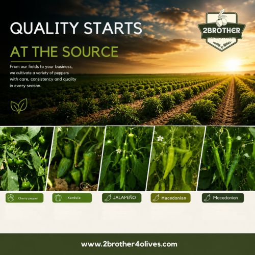 Global Pepper Harvest Calendar