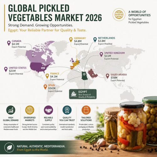 Global Pickled Vegetable Market Outlook 2026