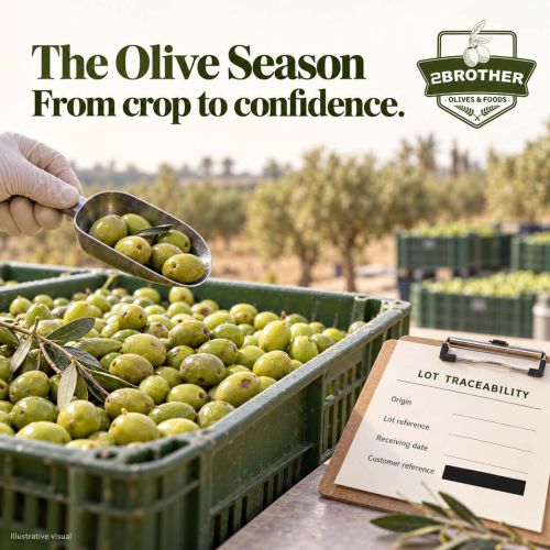 Egyptian Olive Season Update 