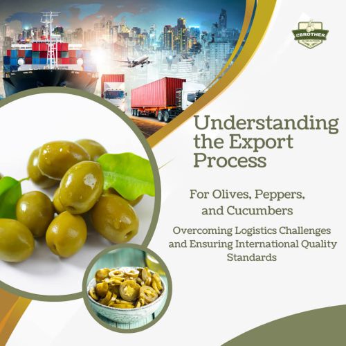 Comprendere il processo di esportazione di olive, peperoni e cetrioli: superare le sfide logistiche e garantire gli standard di qualità internazionali
