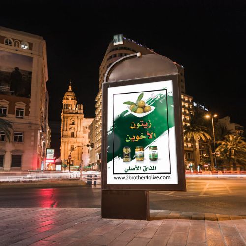 The new olive season in Egypt