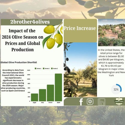 Impact of the 2024 Olive Season on Prices and Global Production