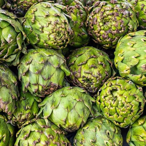 Fornitore di Carciofi Conservati all’Ingrosso – Cuori e Quarti in Salamoia o Grigliati, Certificati e con Spedizione Rapida in Italia!