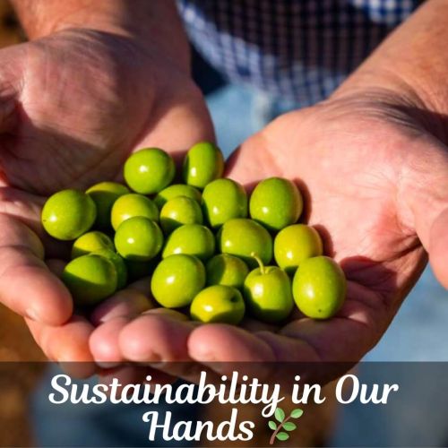 Celebrando el Día de la Naturaleza con Two Brother