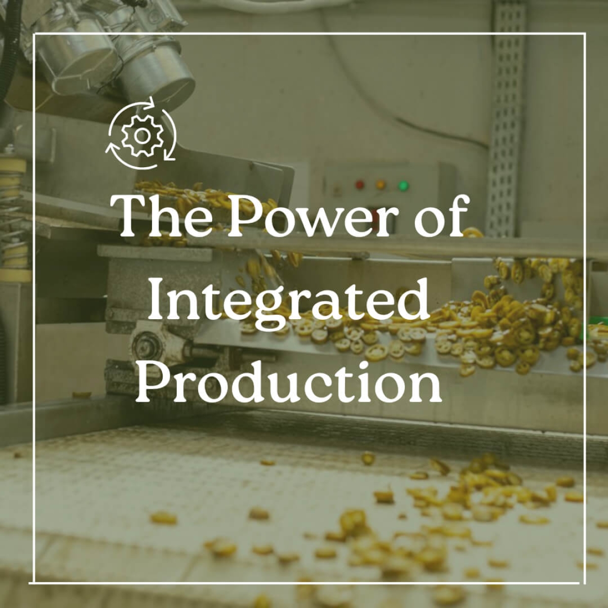 La Forza della Produzione Integrata: Perché gli Importatori si Fanno Guidare dai Produttori con Controllo Totale