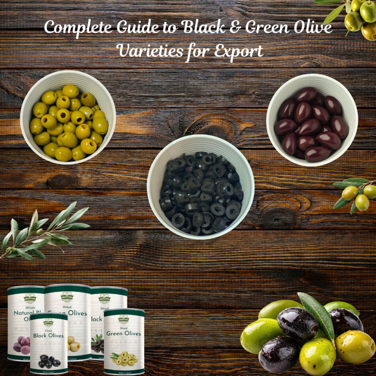Vollst&auml;ndiger Leitfaden zu Gr&uuml;nen & Schwarzen Olivensorten f&uuml;r den Export