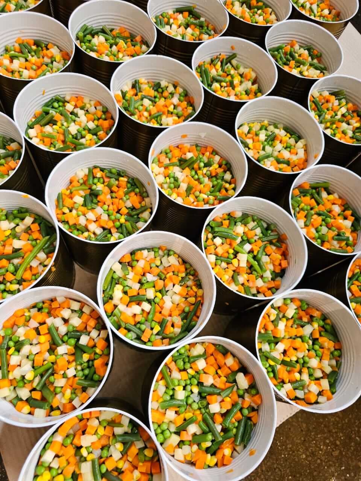 First Batch, Big Step: Canned Mixed Vegetables by Two Brother Company