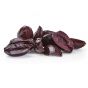  Kalamata Halfes